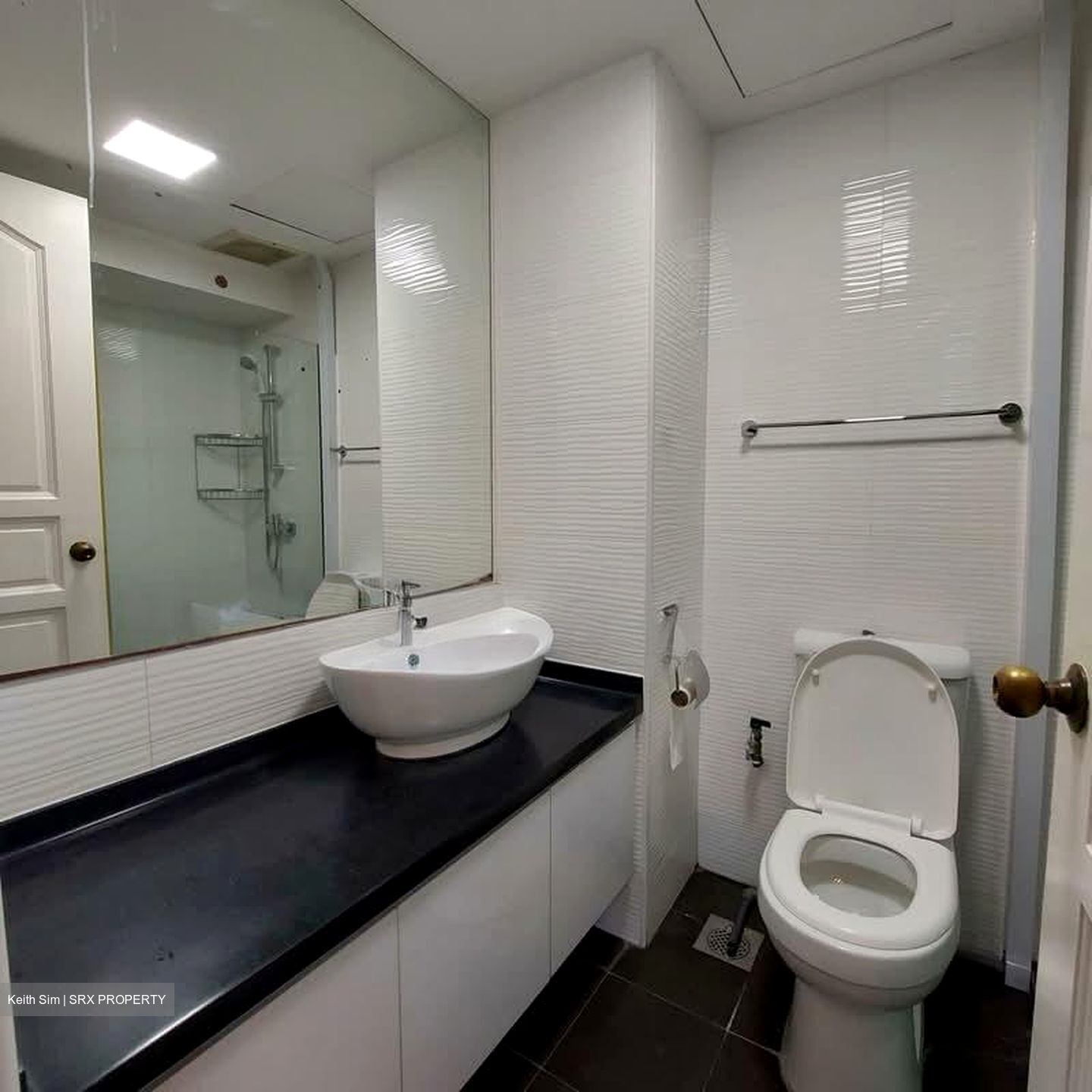 Shelford Regency (D11), Condominium #576782601